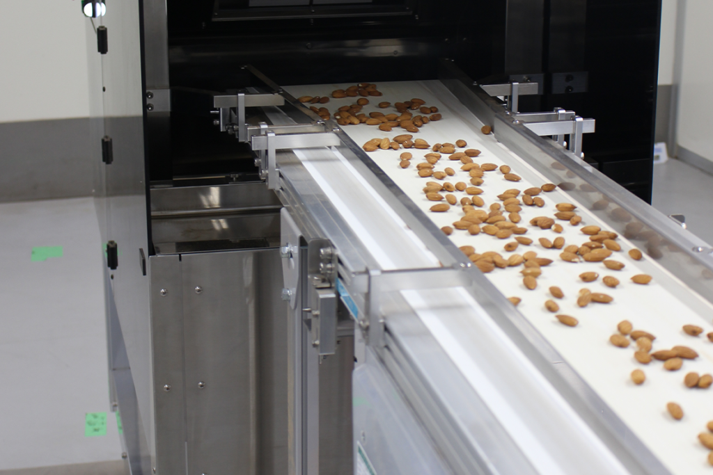 Fuji Warehouse's AI Sorting Line for Almonds